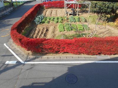 DSCN2007.JPG